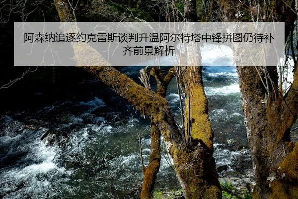 阿森纳追逐约克雷斯谈判升温阿尔特塔中锋拼图仍待补齐前景解析